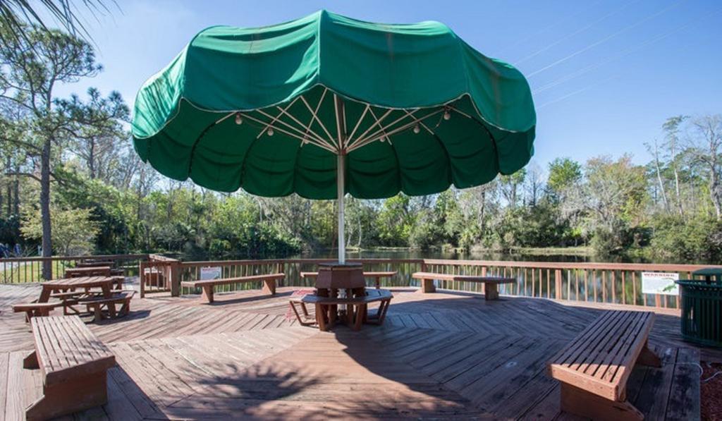 Tropical Palms Premium Two-Bedroom Loft Cottage 77 Orlando Zewnętrze zdjęcie